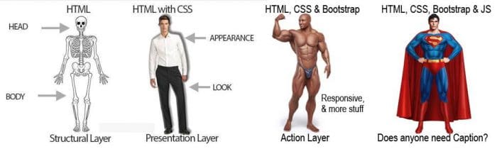 HTML vs CSS vs JS