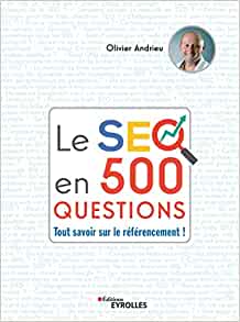le seo en 500 questions