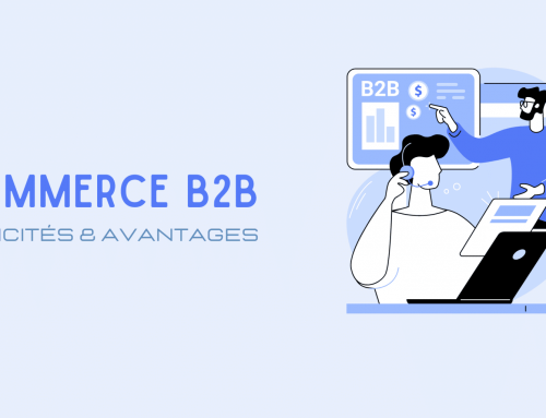 Spécificités et avantages d’une plateforme e-commerce B2B